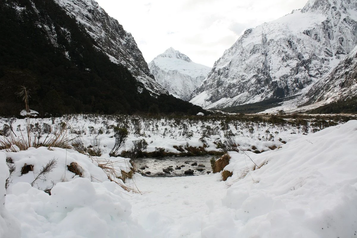 Fiordland Tours