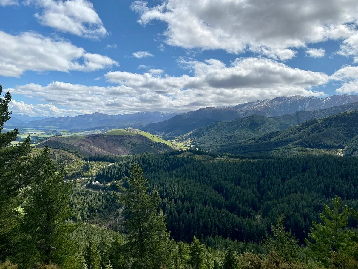 Hanmer Forest