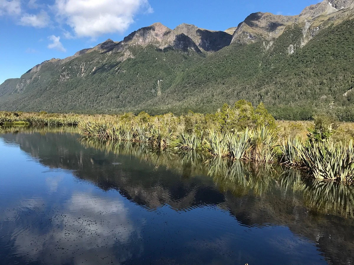 Fiordland National Park (Te Wahipounamu)