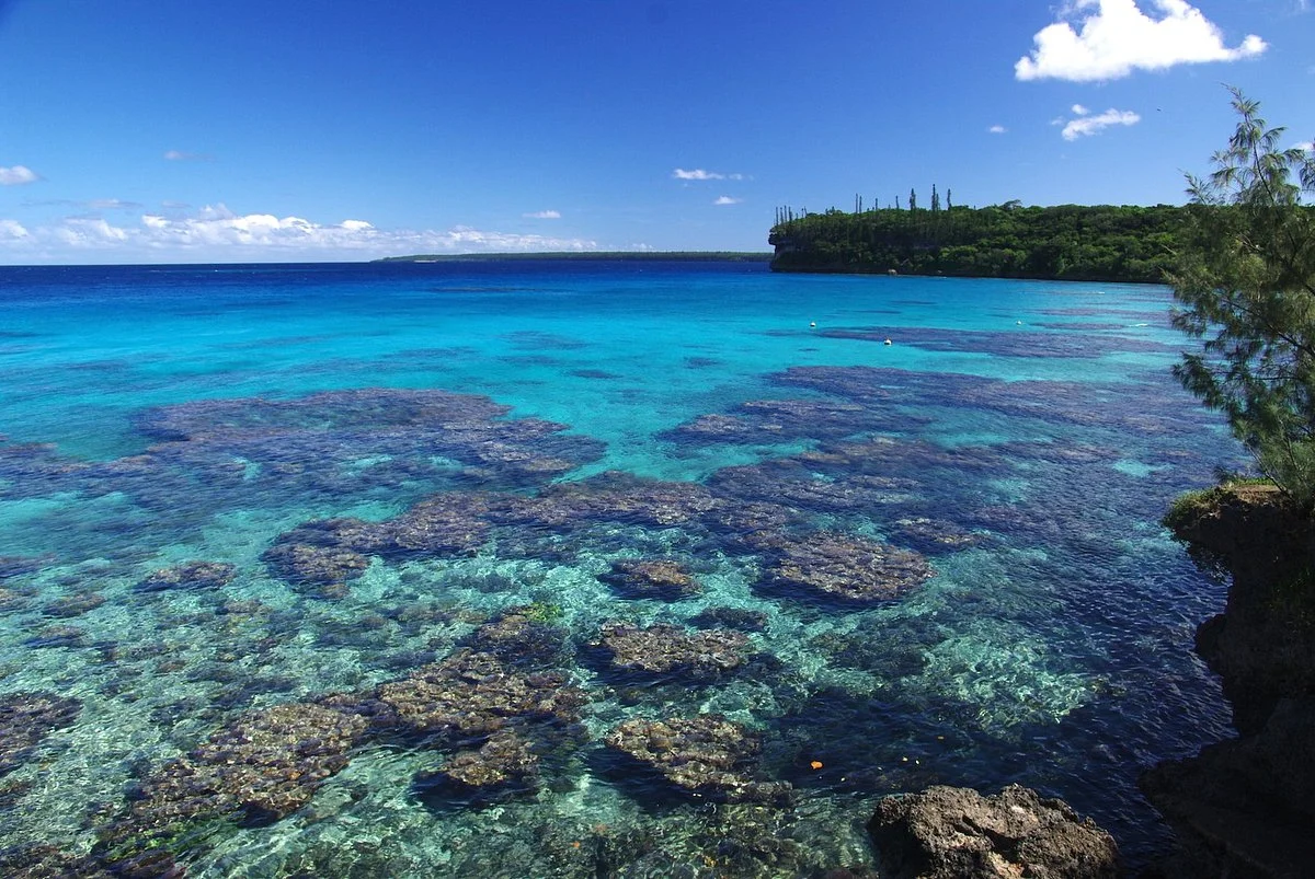 Baie de Jinek