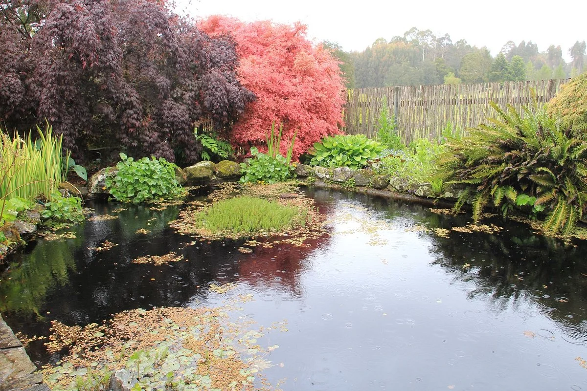 Kaydale Lodge Gardens