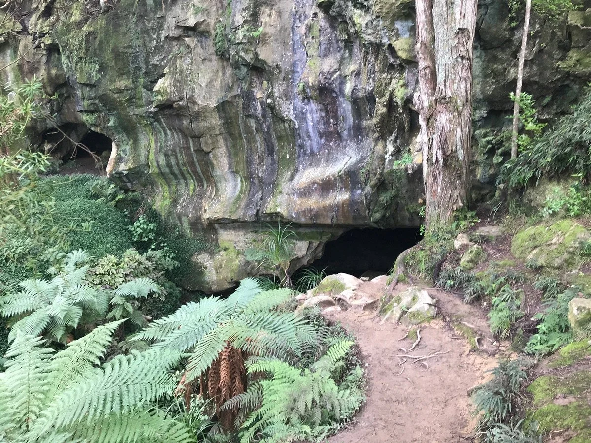 Waipu Cave
