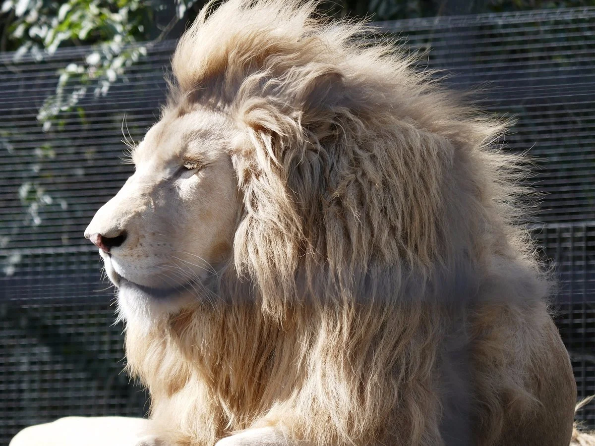 Shoalhaven Zoo