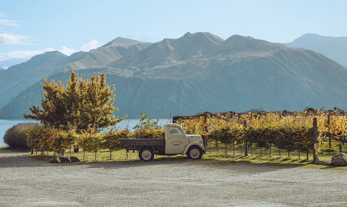Rippon Vineyard