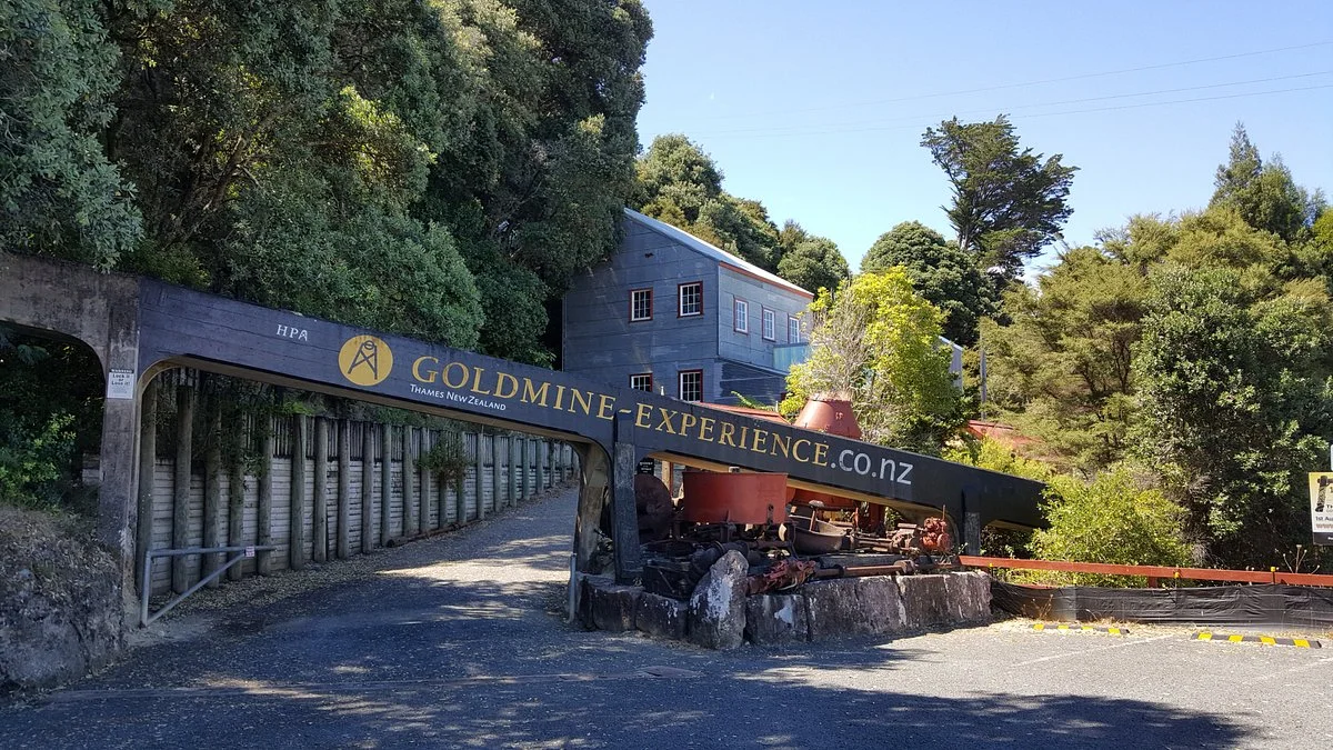 Goldmine Experience