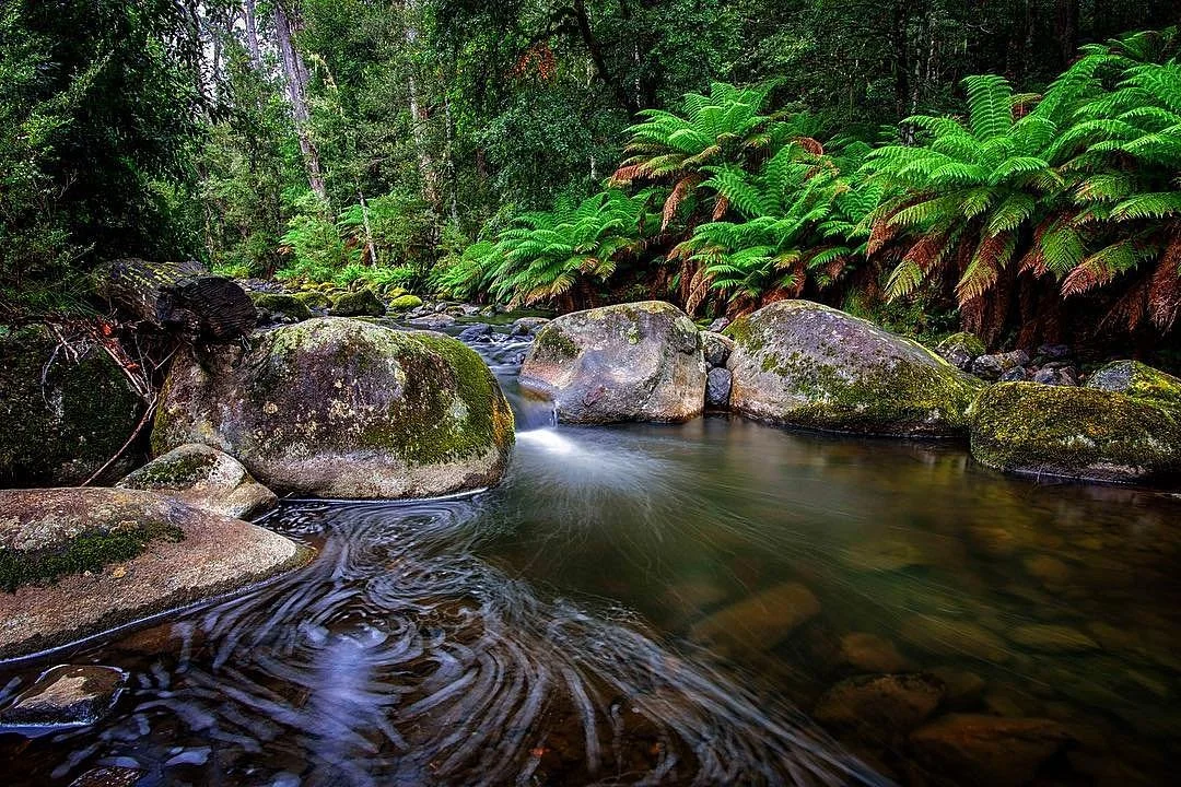 Barrington Tops National Park