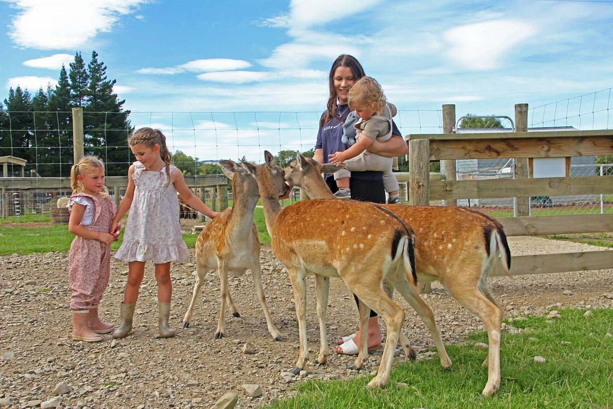 Hanmer Springs Animal Park