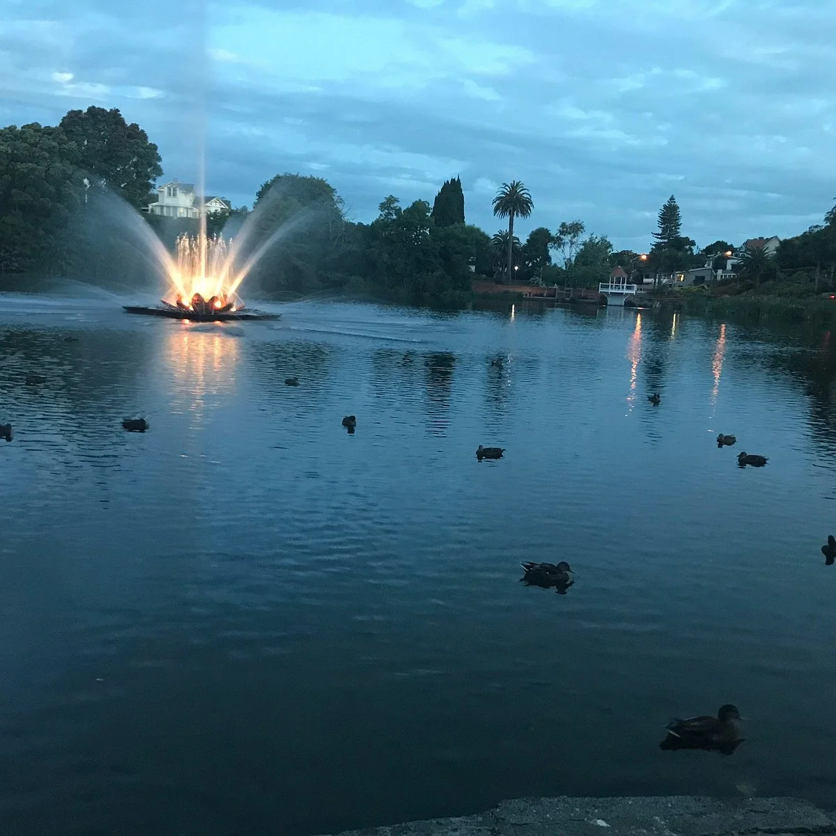 Virginia Lake
