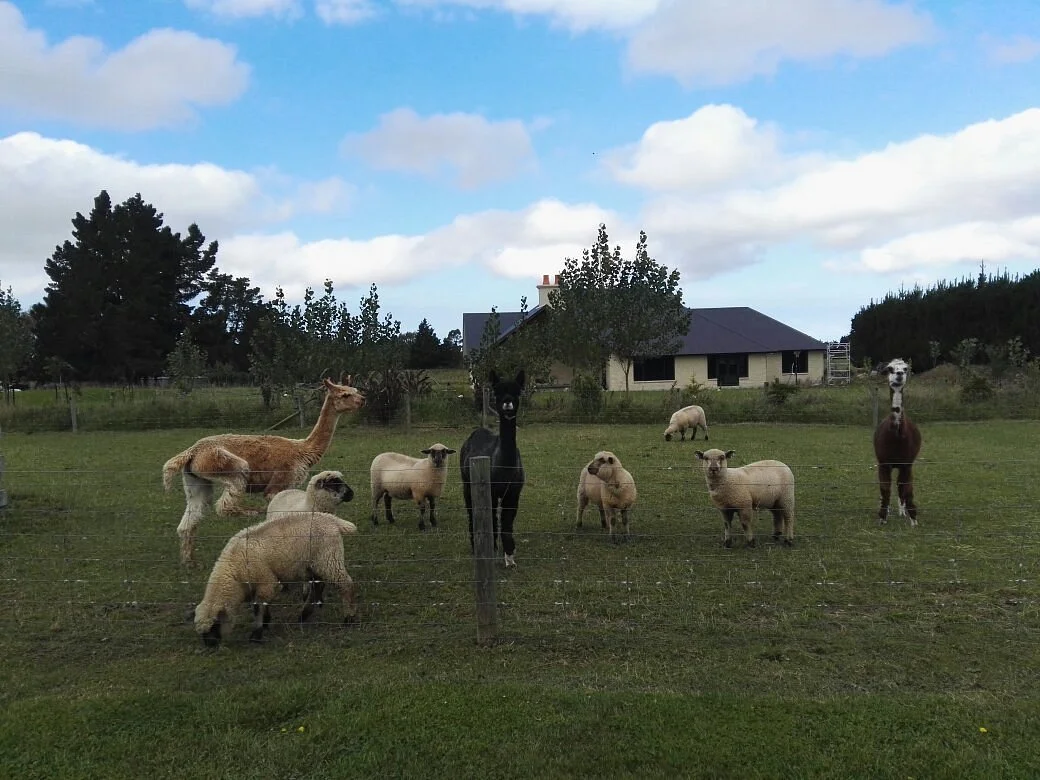 Famlan Farm Park