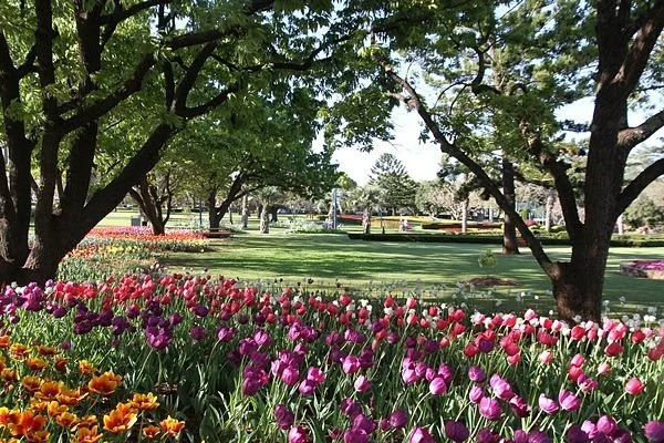 Laurel Bank Park