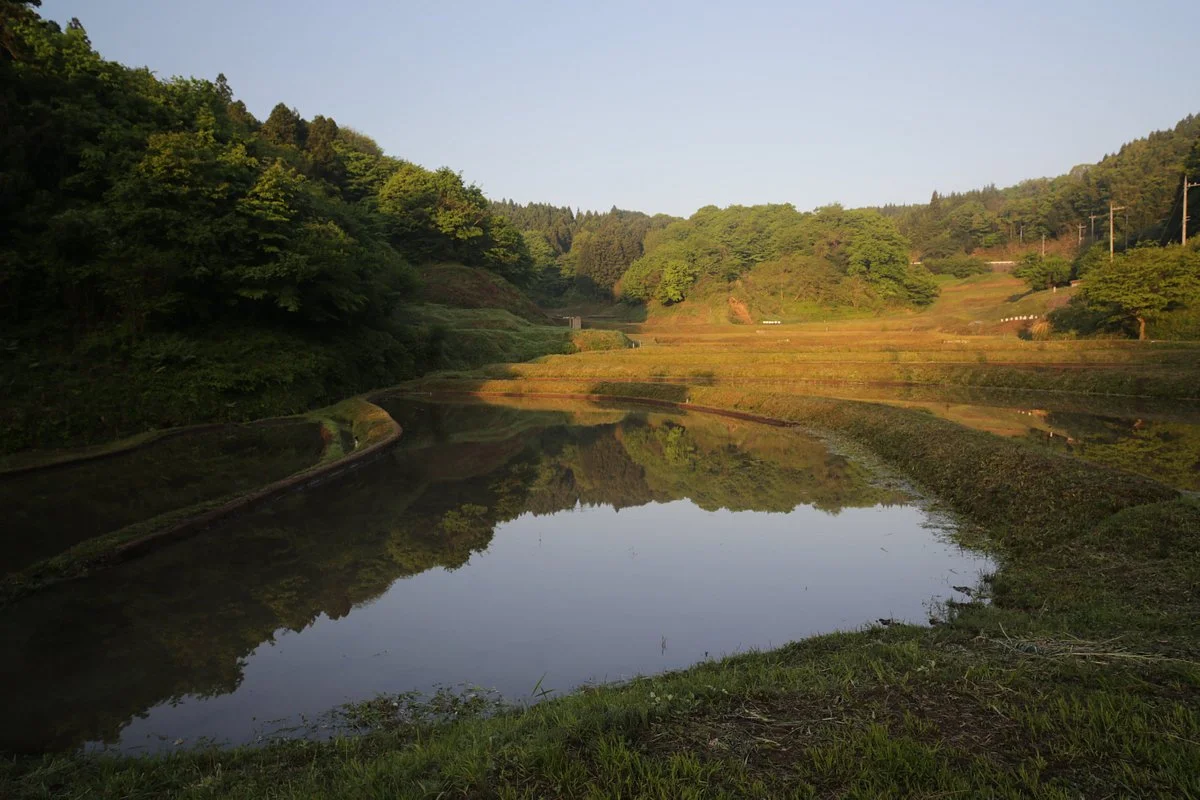 Irigo Ishibatake Rice Terraces