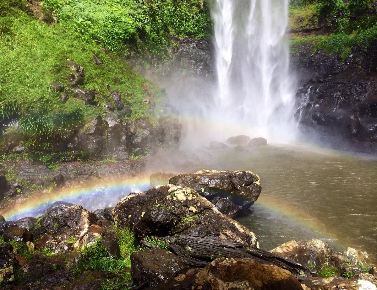 Springbrook National Park