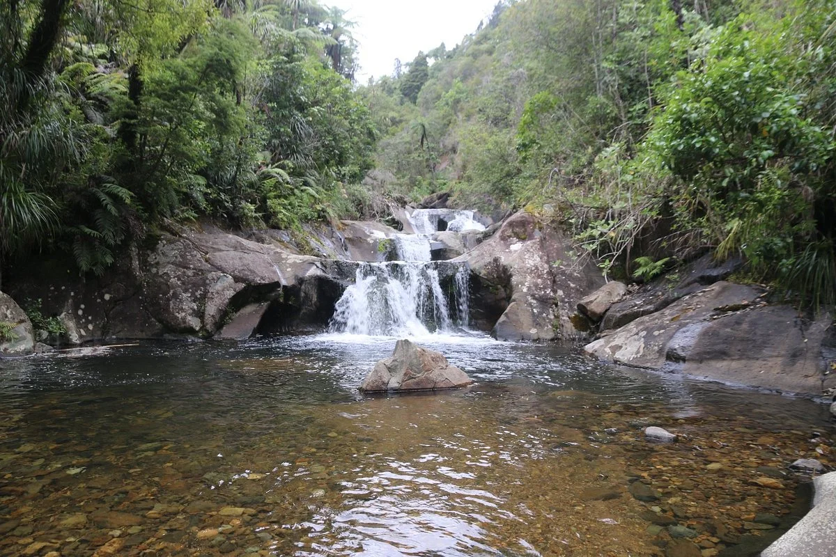 RAPAURA Watergardens