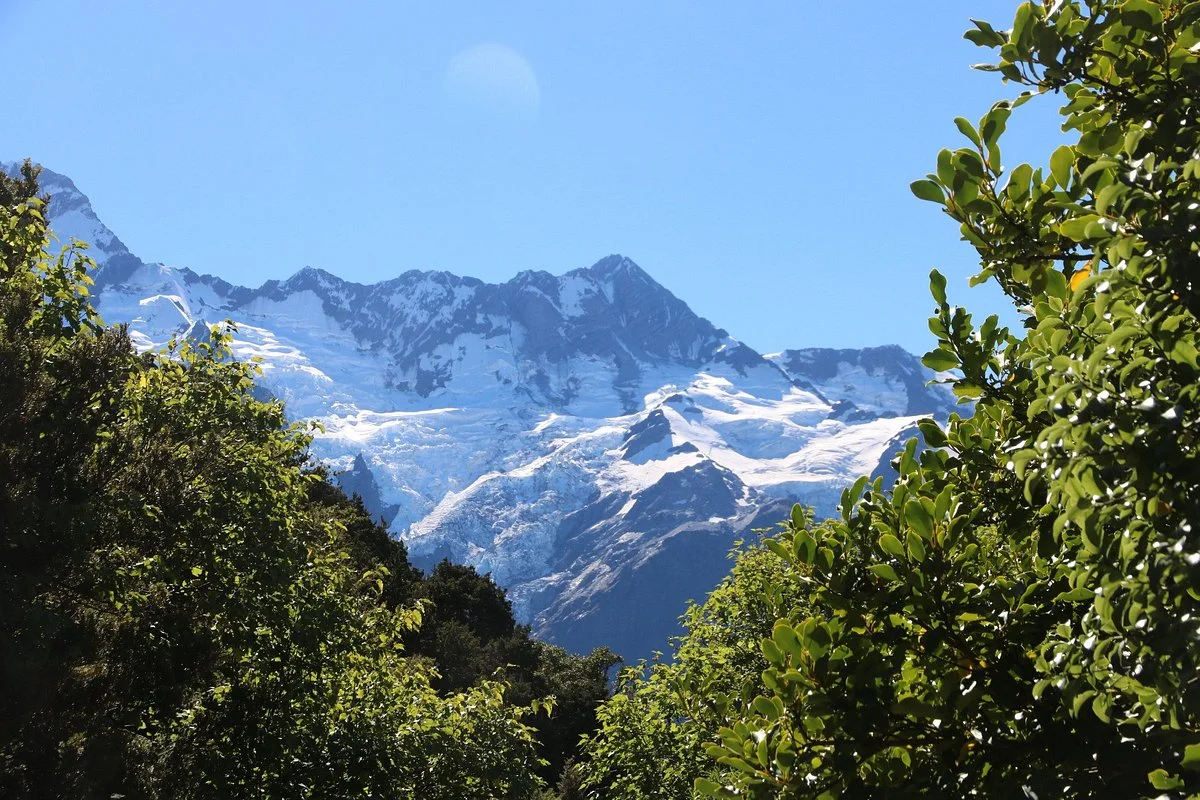 Governors Bush Walk