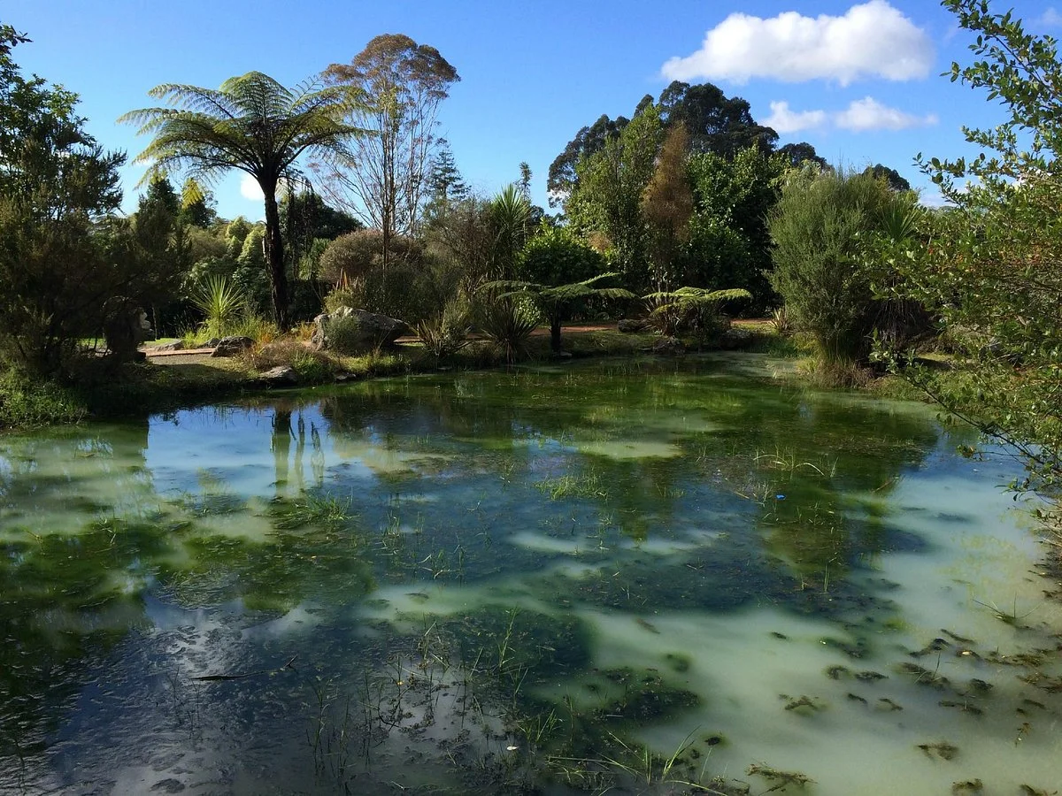 Te Puna Quarry Park