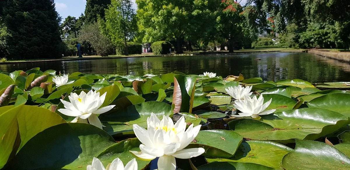 Salmon Ponds Heritage Hatchery and Gardens