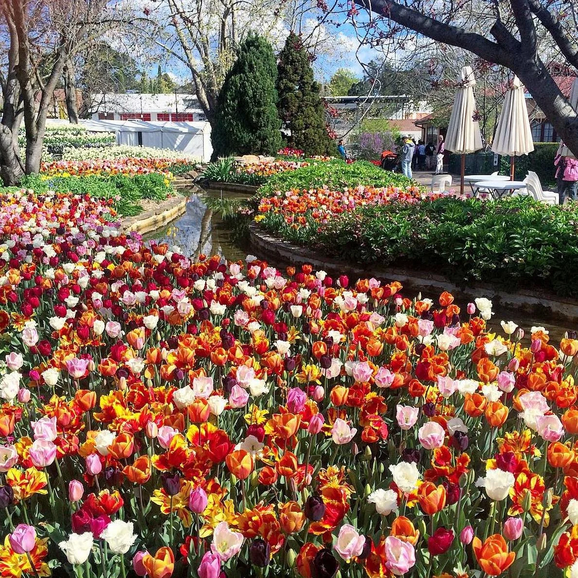 The Corbett Gardens
