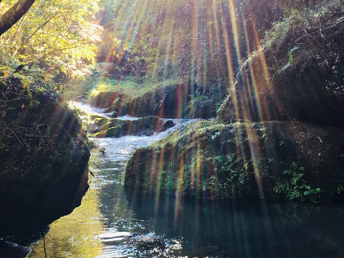Te Ana and Tangoio Falls tracks