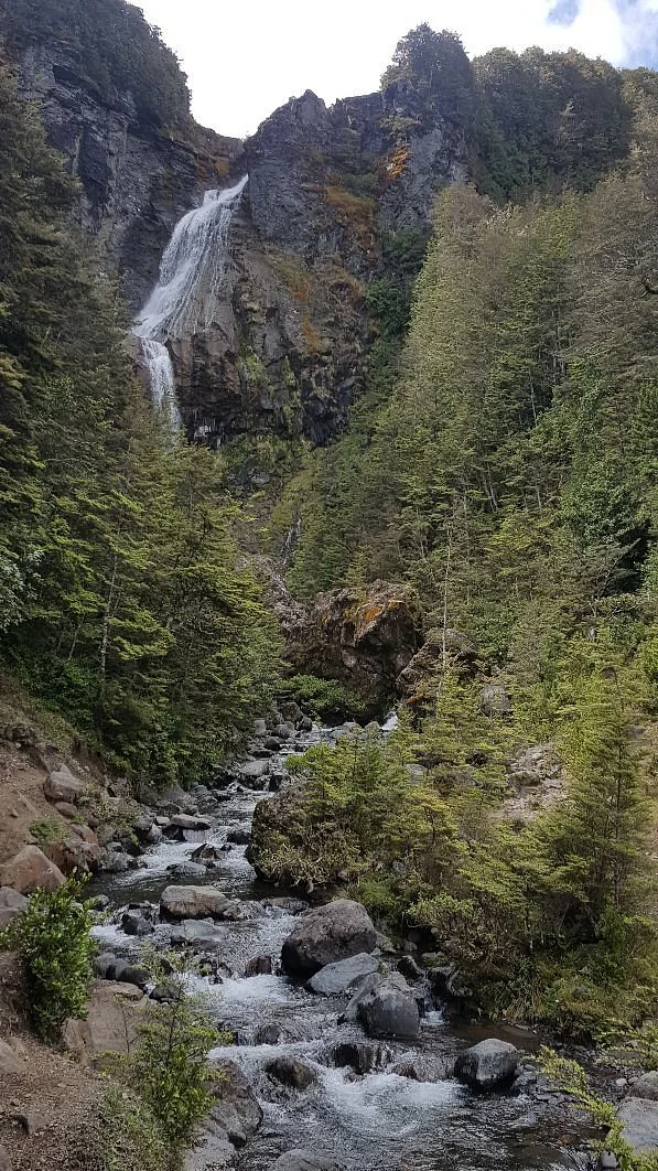 Waitonga Falls Track