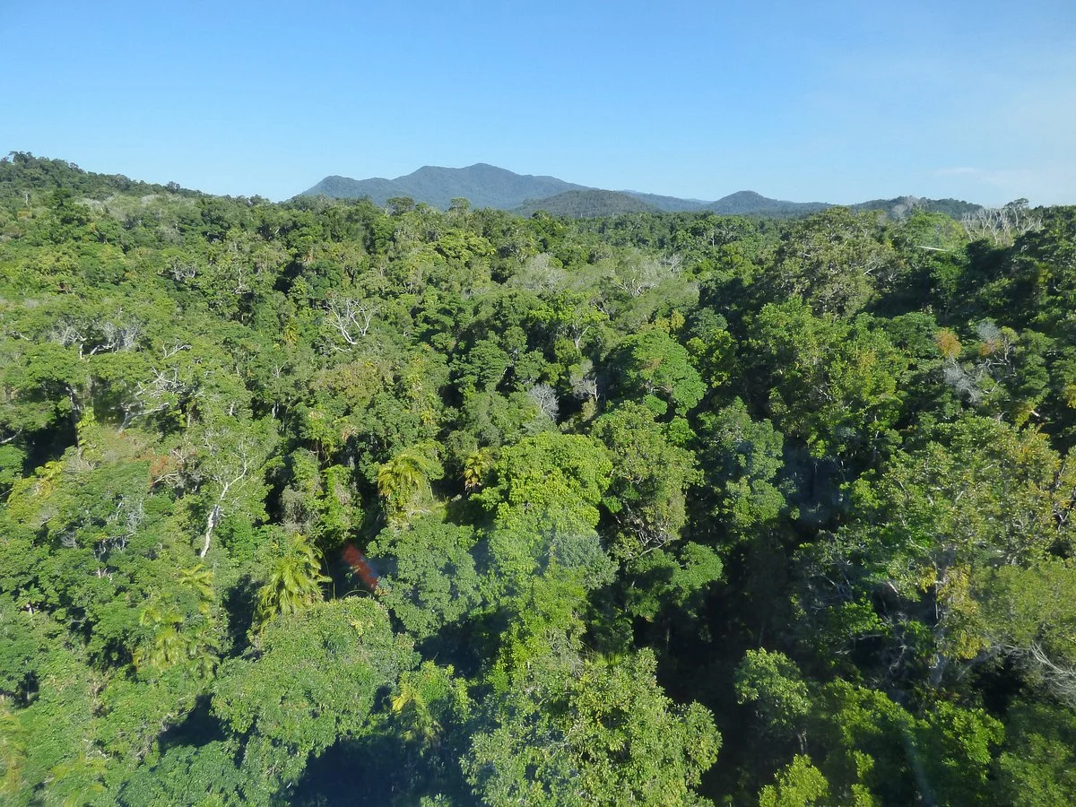 Kuranda National Park