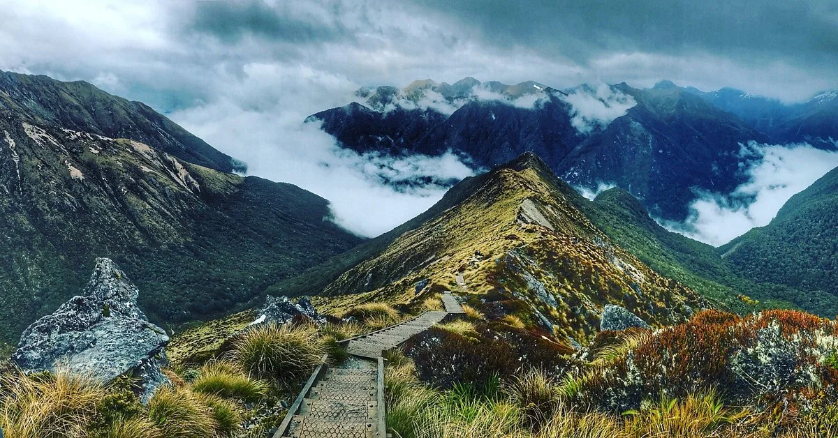 Kepler Track