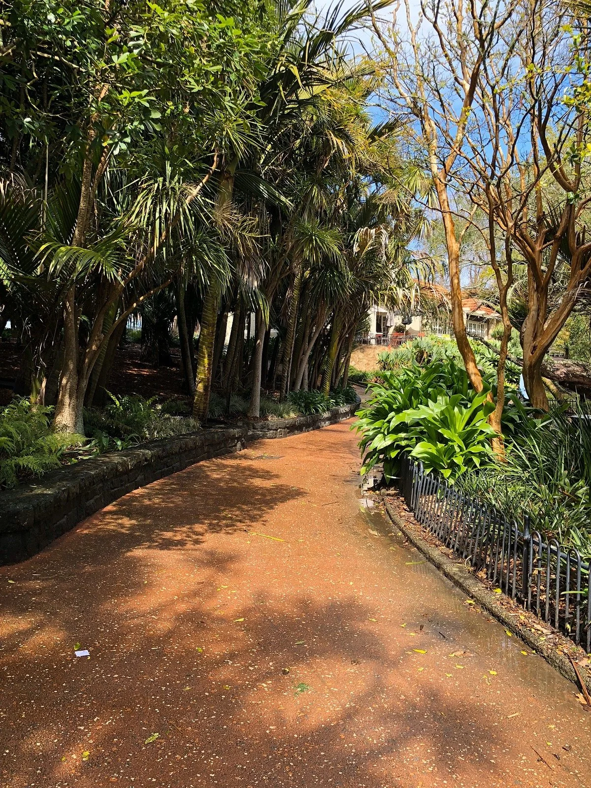 Auckland Domain