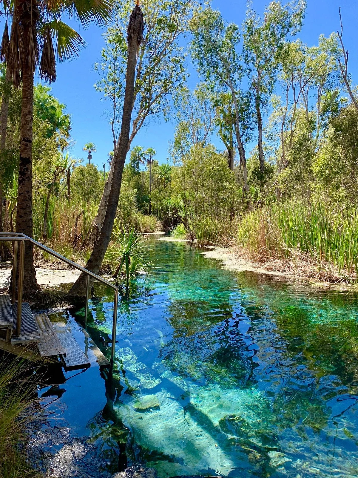 Bitter Springs