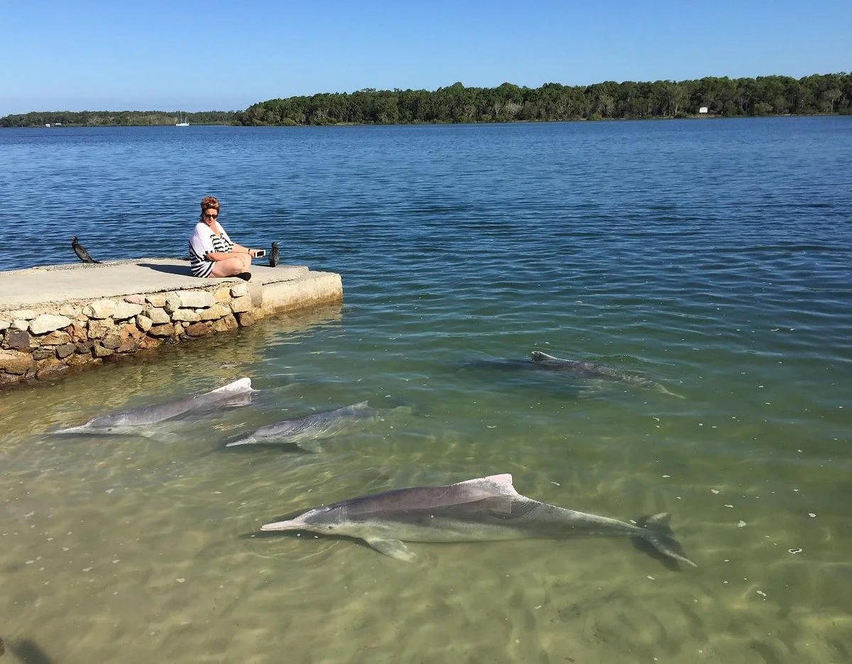 Barnacles Dolphin Centre