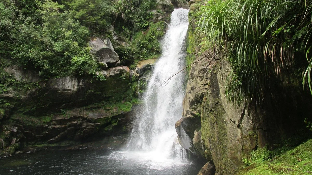Wainui Falls Track