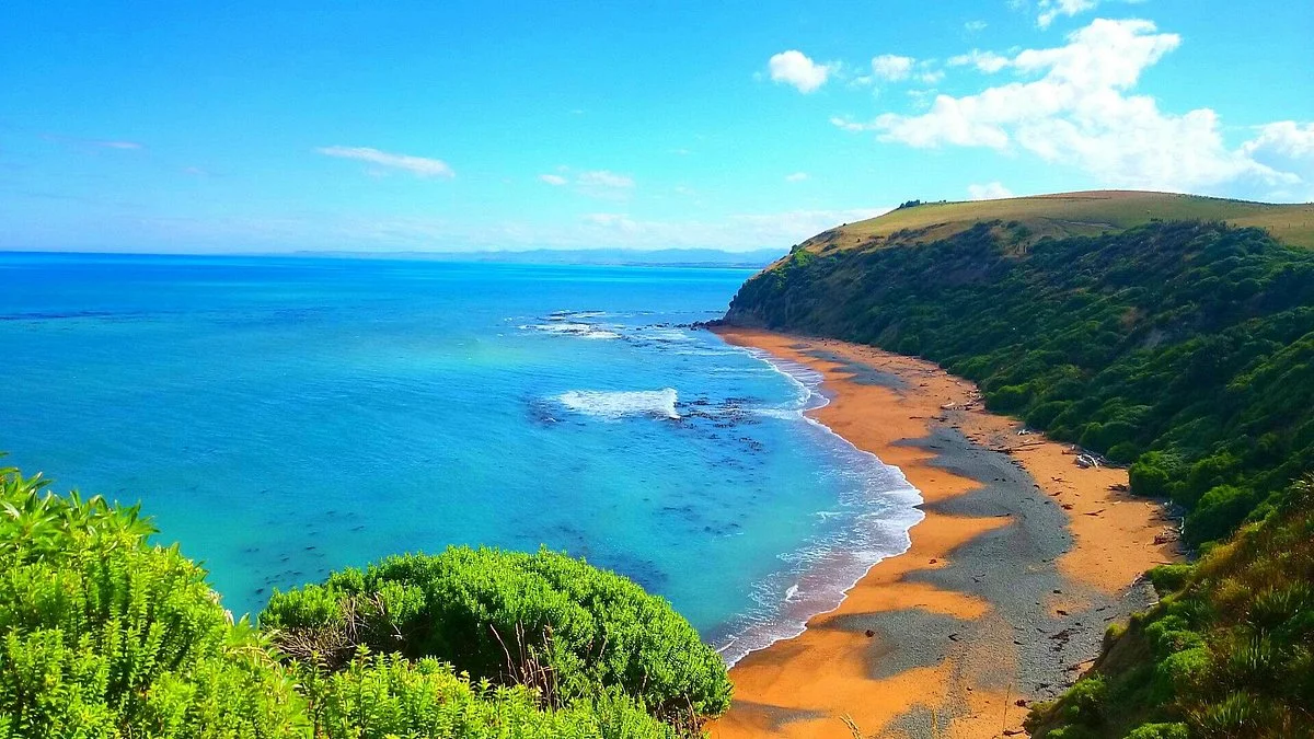 Bushy Beach
