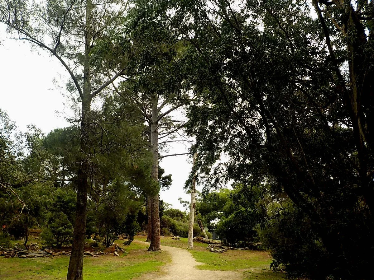 Cheltenham Park