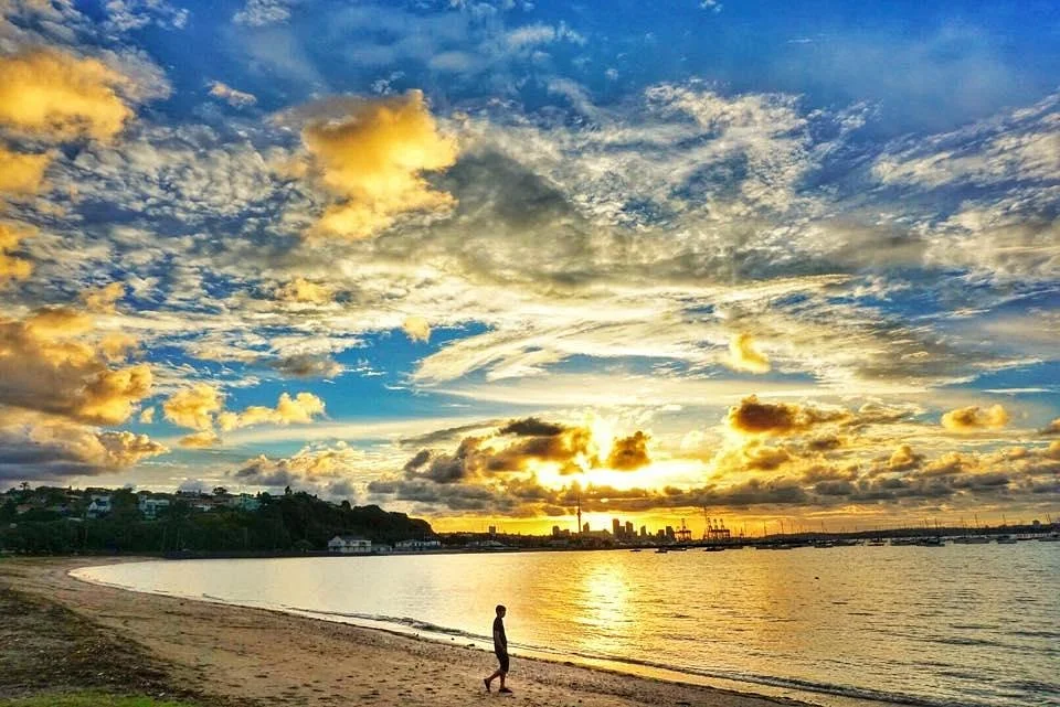 Mission Bay Beach