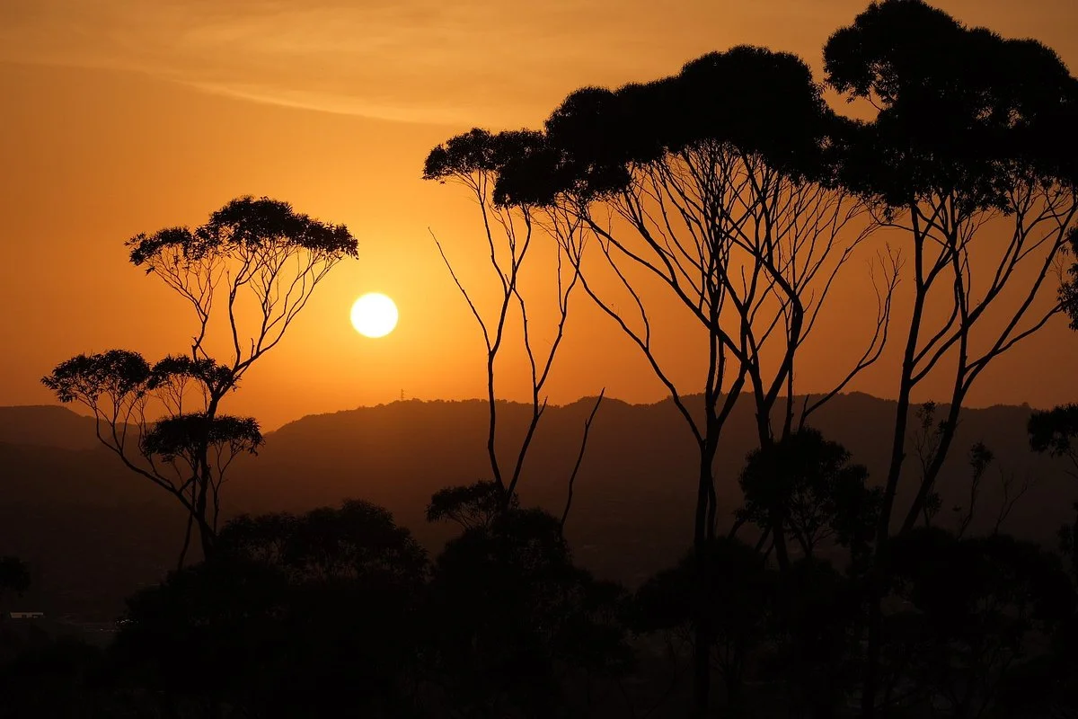 Mount Albert - Owairaka Domain