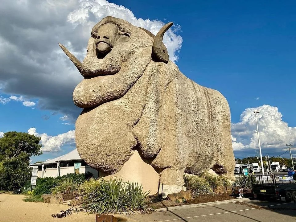 The Big Merino