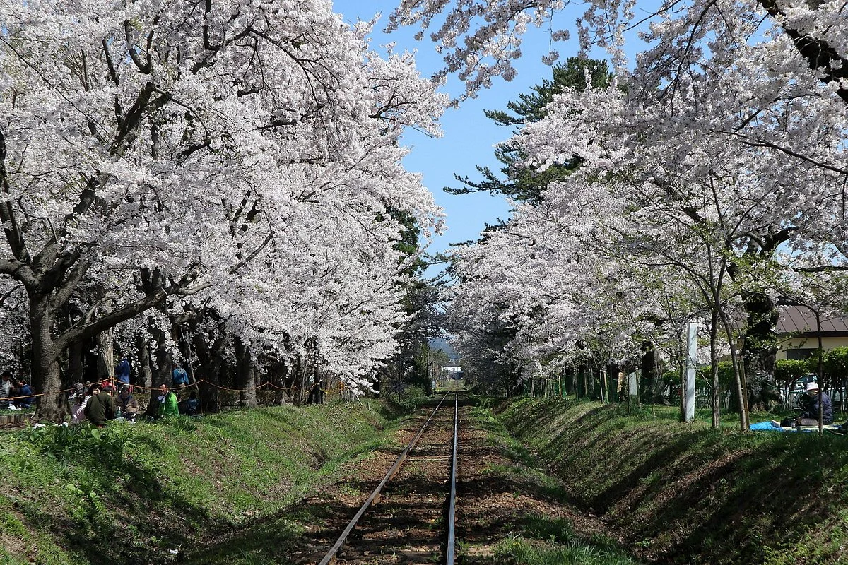 Ashino Park