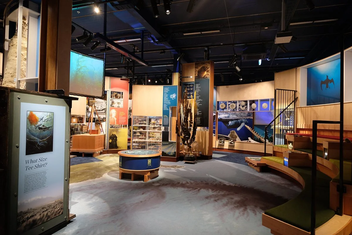 Kaikoura Museum