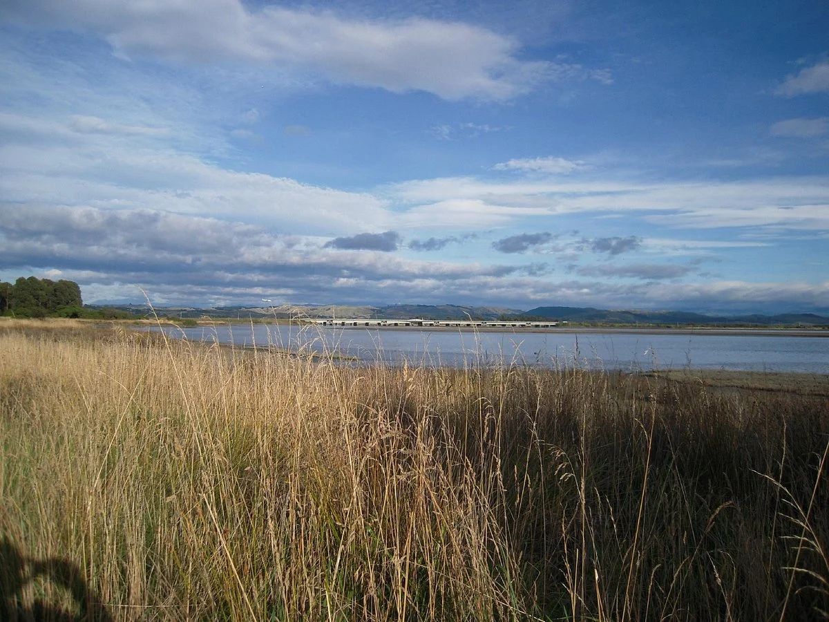 Ahuriri Estuary Walk