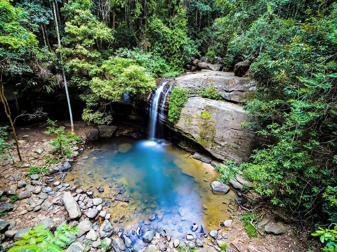 Buderim Forest Park