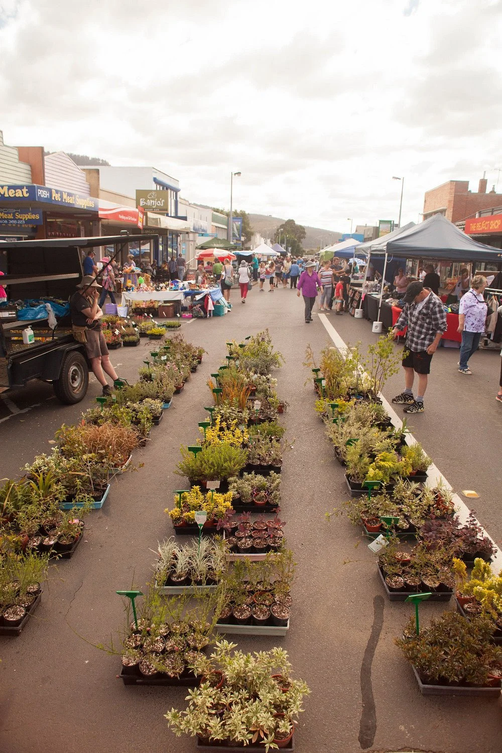 New Norfolk Market