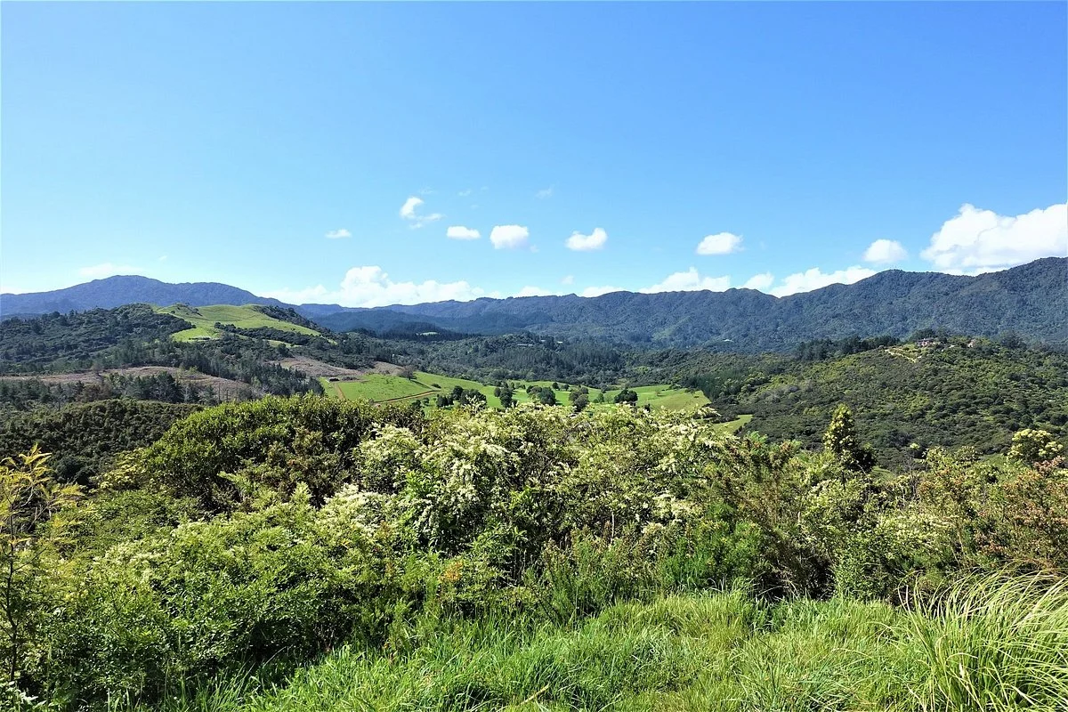 Kauri Block Track