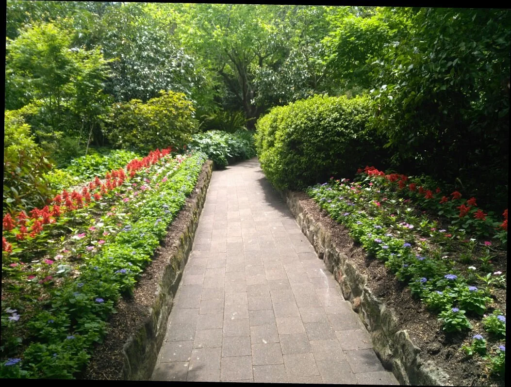 E G Waterhouse National Camellia Gardens
