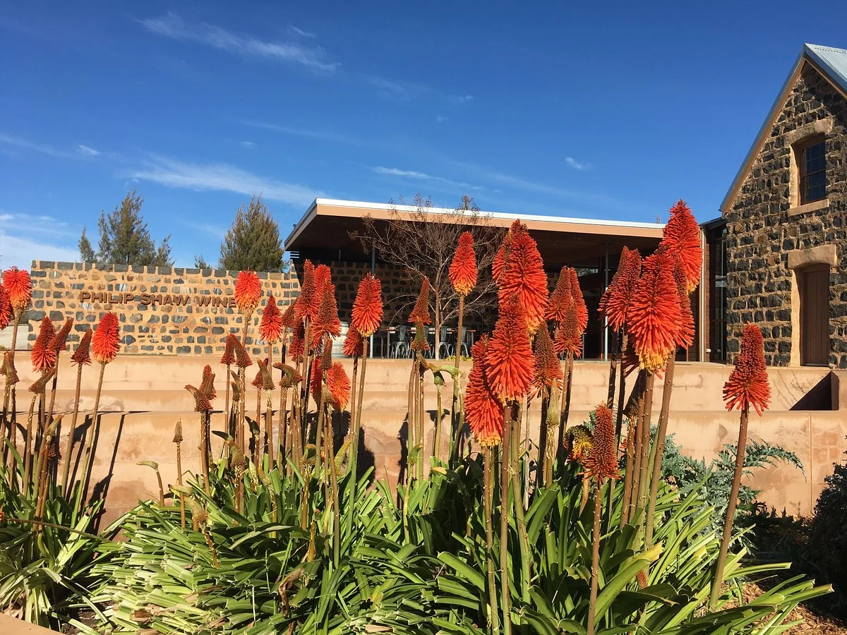 Philip Shaw Wines Cellar Door