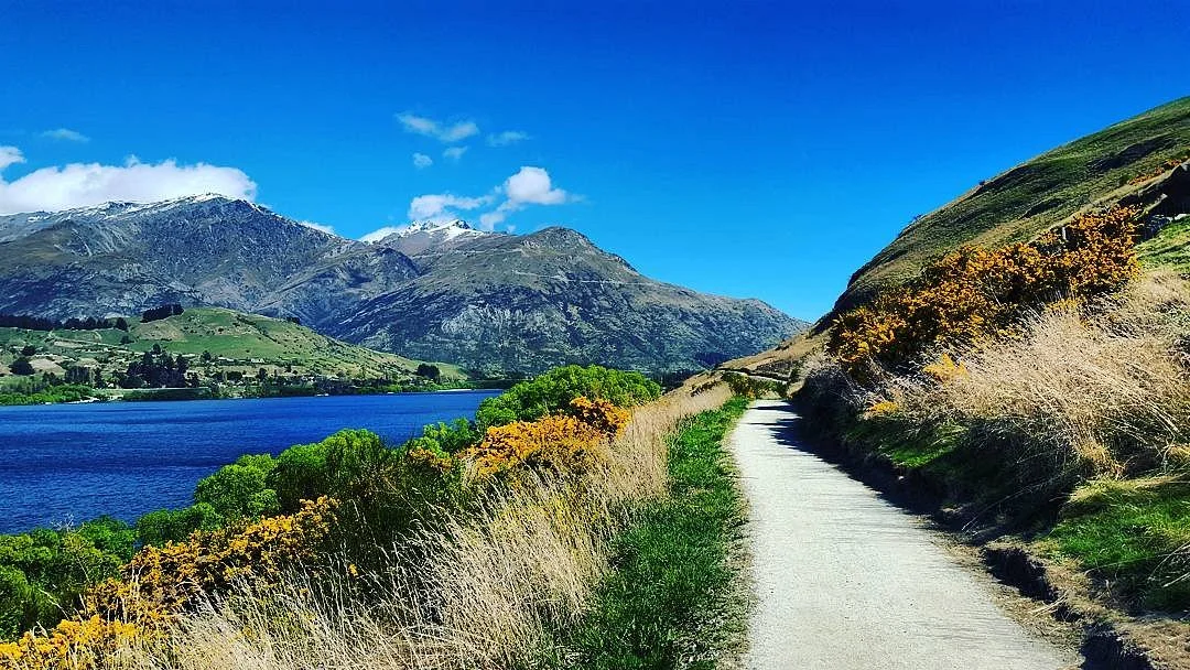 Lake Hayes Walkway
