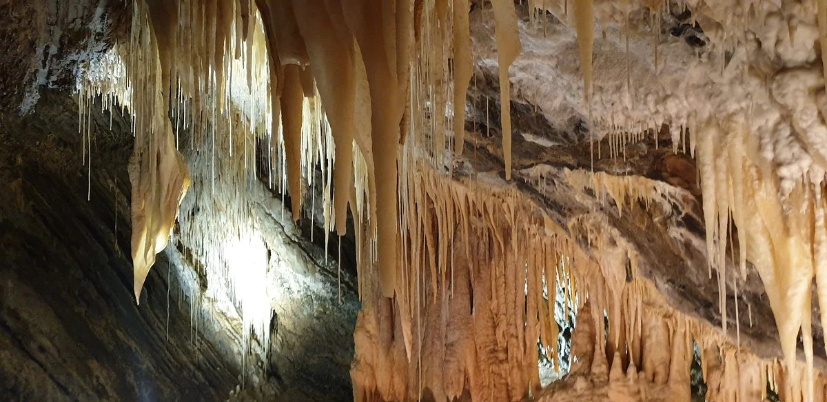 Mole Creek Caves