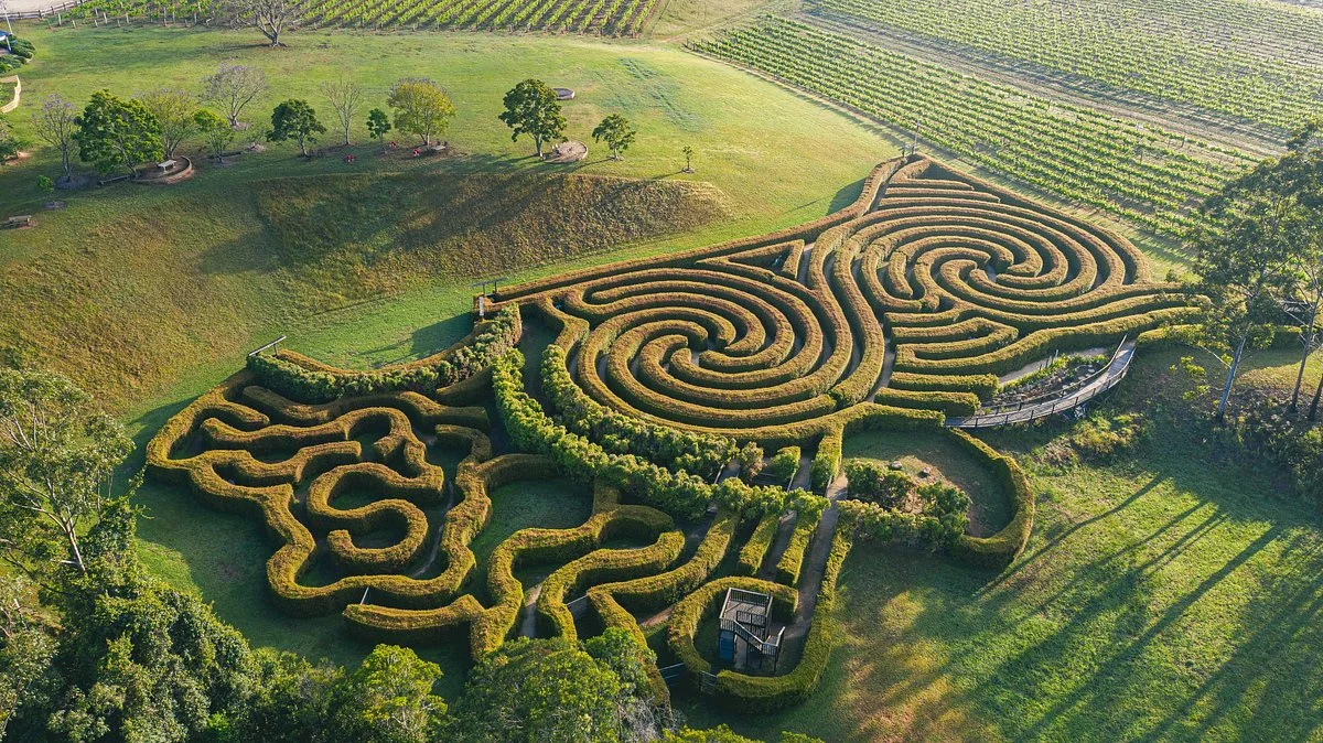 Bago Maze & Wine