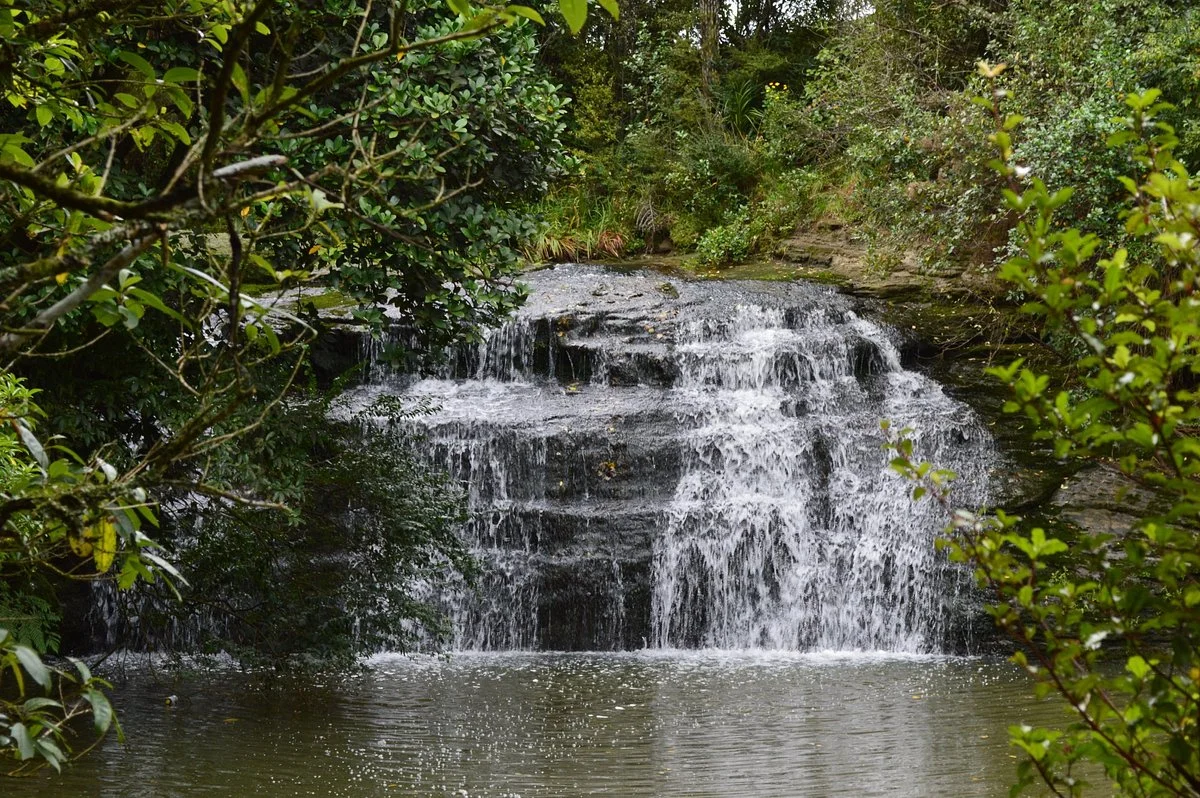 Gills Scenic Reserve