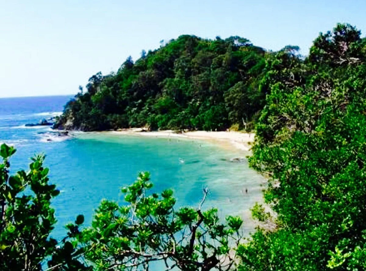 Whale Bay