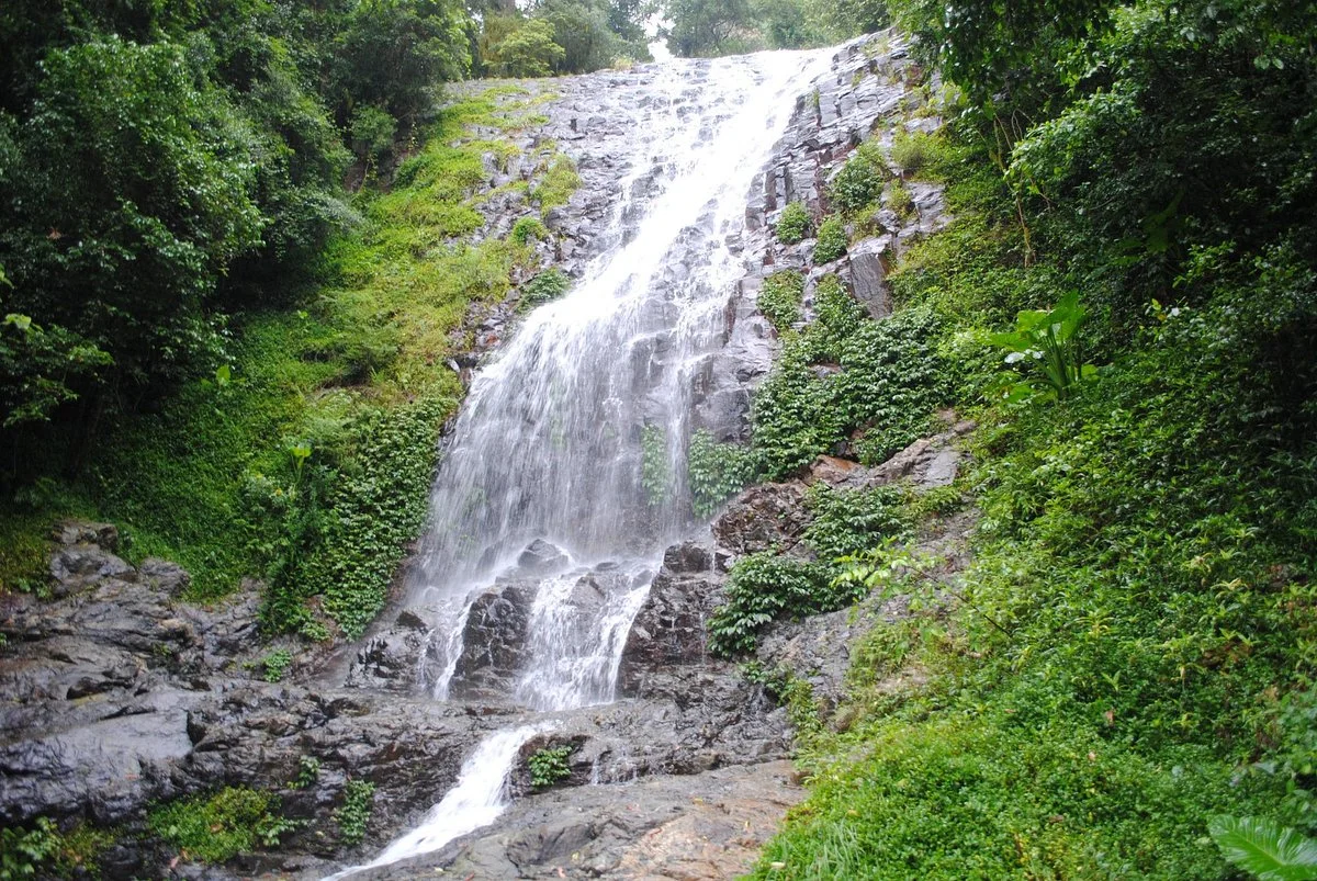 Parque Nacional de Dorrigo