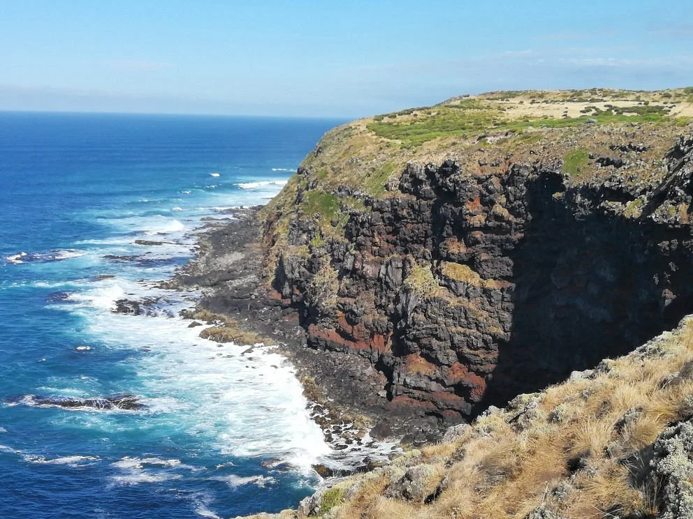 Cape Bridgewater Seal Walk