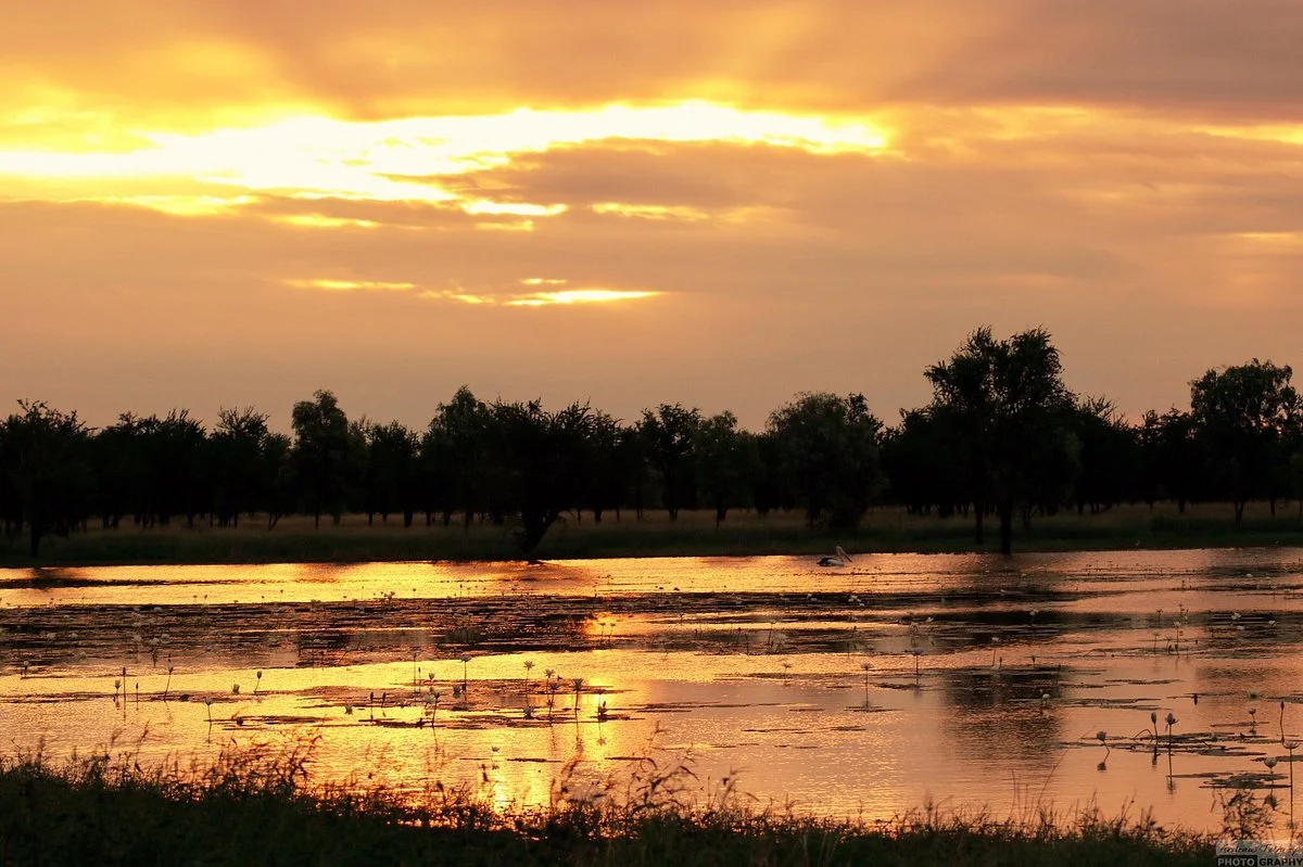 Mutton Hole Wetlands Conservation Park